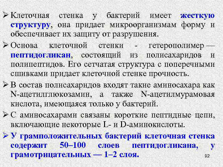 Ø Клеточная стенка у бактерий имеет жесткую структуру, она придает микроорганизмам форму и обеспечивает