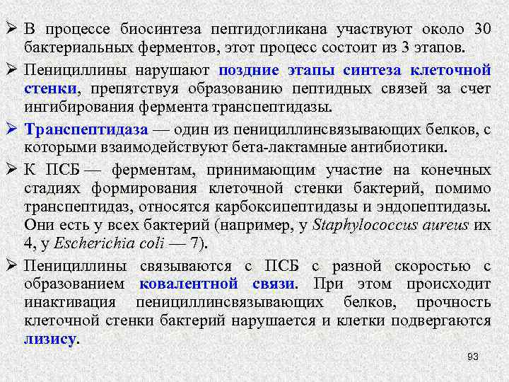 Ø В процессе биосинтеза пептидогликана участвуют около 30 бактериальных ферментов, этот процесс состоит из