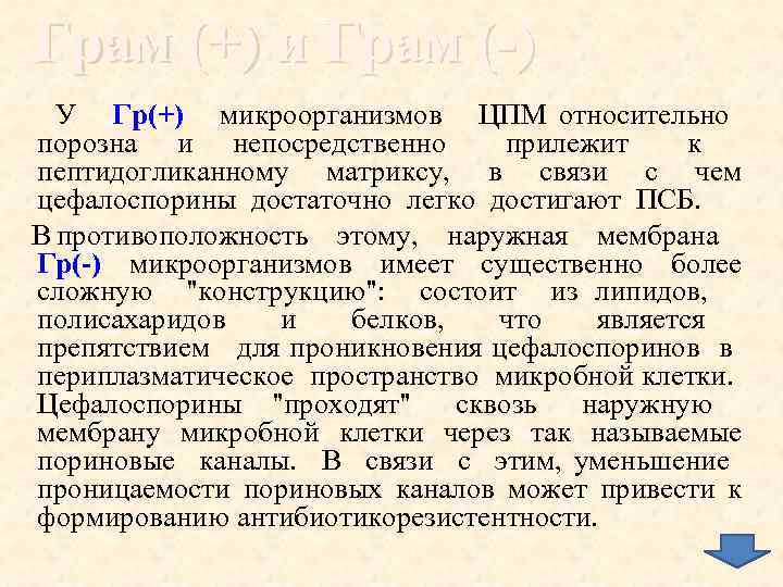 Грам (+) и Грам (-) У Гр(+) микроорганизмов ЦПМ относительно порозна и непосредственно прилежит