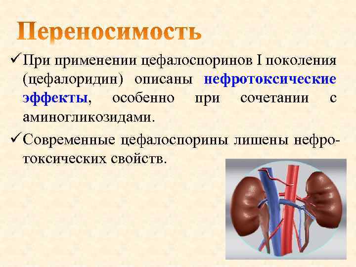 ü При применении цефалоспоринов I поколения (цефалоридин) описаны нефротоксические эффекты, особенно при сочетании с