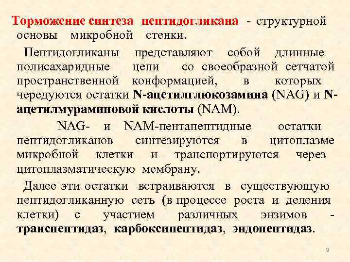 Торможение синтеза пептидогликана - структурной основы микробной стенки. Пептидогликаны представляют собой длинные полисахаридные цепи