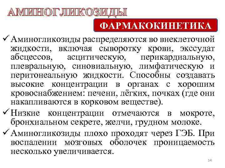 АМИНОГЛИКОЗИДЫ ФАРМАКОКИНЕТИКА ü Аминогликозиды распределяются во внеклеточной жидкости, включая сыворотку крови, экссудат абсцессов, асцитическую,