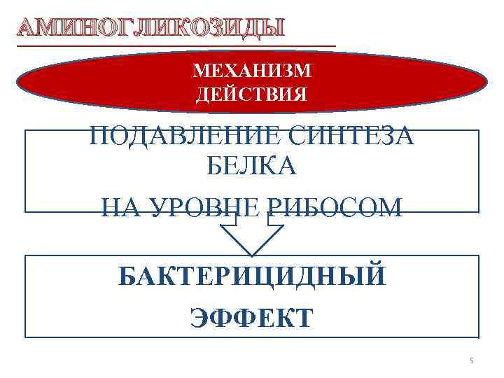 АМИНОГЛИКОЗИДЫ МЕХАНИЗМ ДЕЙСТВИЯ ПОДАВЛЕНИЕ СИНТЕЗА БЕЛКА НА УРОВНЕ РИБОСОМ БАКТЕРИЦИДНЫЙ ЭФФЕКТ 5 