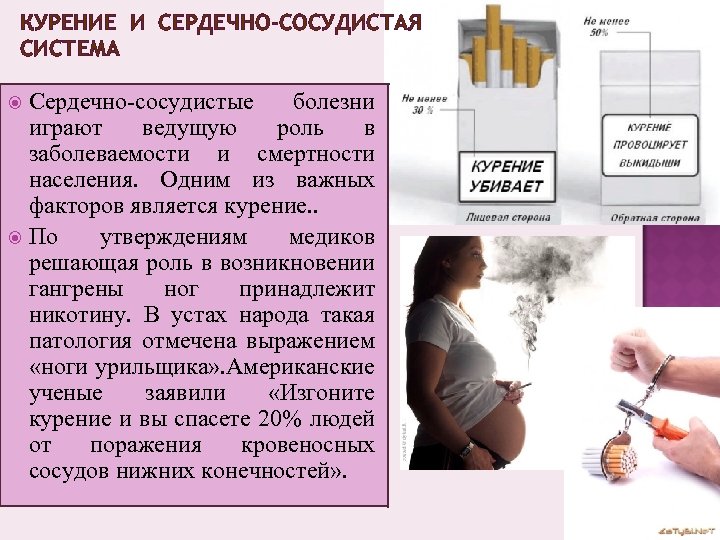 КУРЕНИЕ И СЕРДЕЧНО-СОСУДИСТАЯ СИСТЕМА Сердечно-сосудистые болезни играют ведущую роль в заболеваемости и смертности населения.