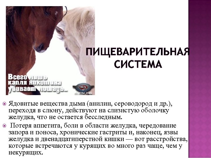 ПИЩЕВАРИТЕЛЬНАЯ СИСТЕМА Ядовитые вещества дыма (анилин, сероводород и др. ), переходя в слюну, действуют