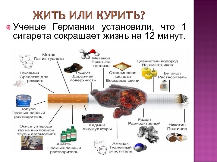 ЖИТЬ ИЛИ КУРИТЬ? Ученые Германии установили, что 1 сигарета сокращает жизнь на 12 минут.