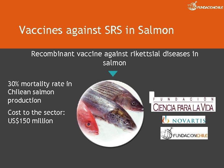 Vaccines against SRS in Salmon Recombinant vaccine against rikettsial diseases in salmon 30% mortality