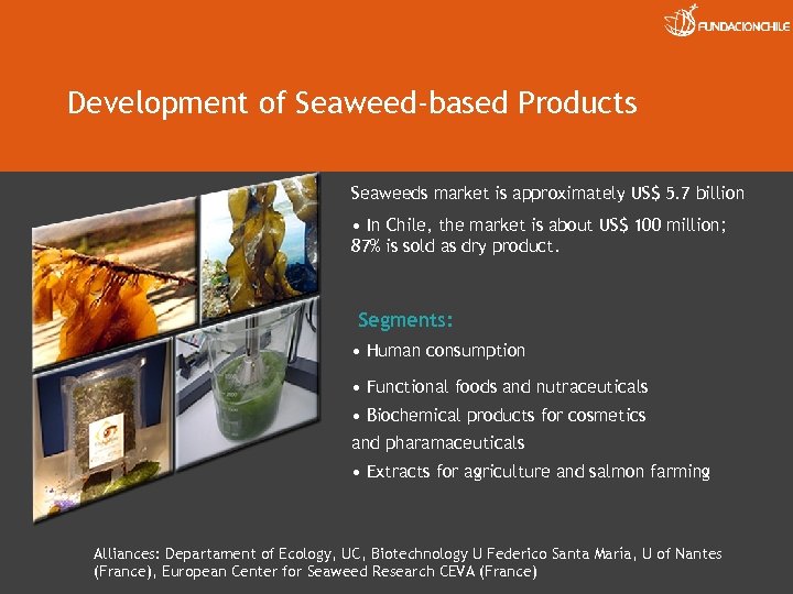 Development of Seaweed-based Products Seaweeds market is approximately US$ 5. 7 billion • In