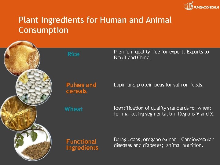 Plant Ingredients for Human and Animal Consumption Rice Premium quality rice for export. Exports