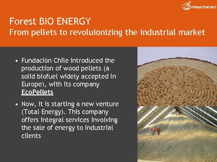 Forest BIO ENERGY From pellets to revoluionizing the industrial market • Fundación Chile introduced