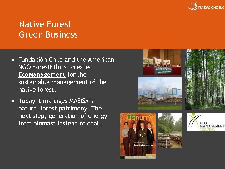 Native Forest Green Business • Fundación Chile and the American NGO Forest. Ethics, created