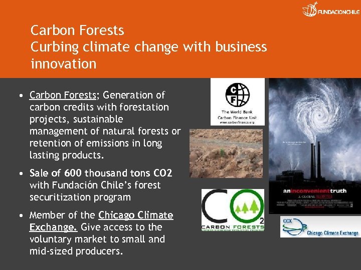 Carbon Forests Curbing climate change with business innovation • Carbon Forests; Generation of carbon