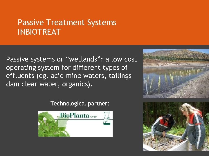 Passive Treatment Systems INBIOTREAT Passive systems or “wetlands”: a low cost operating system for