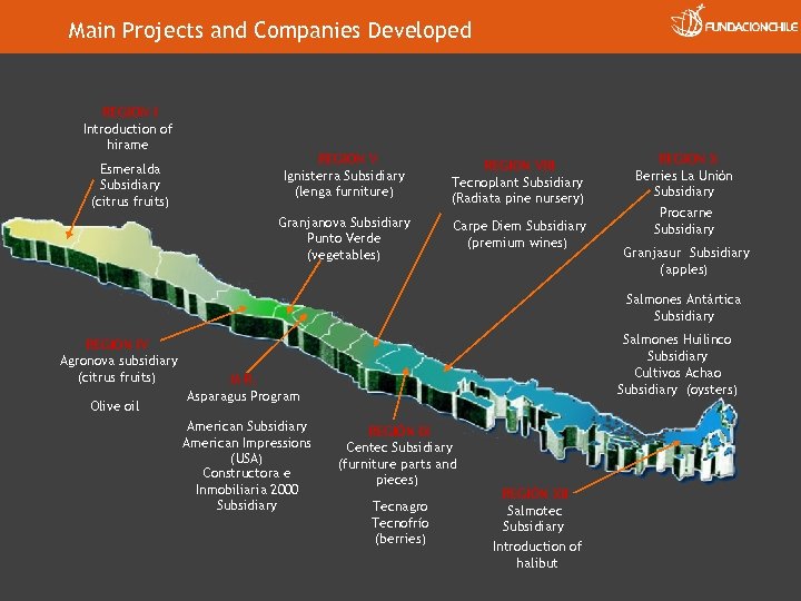 Main Projects and Companies Developed REGION I Introduction of hirame REGION V Ignisterra Subsidiary