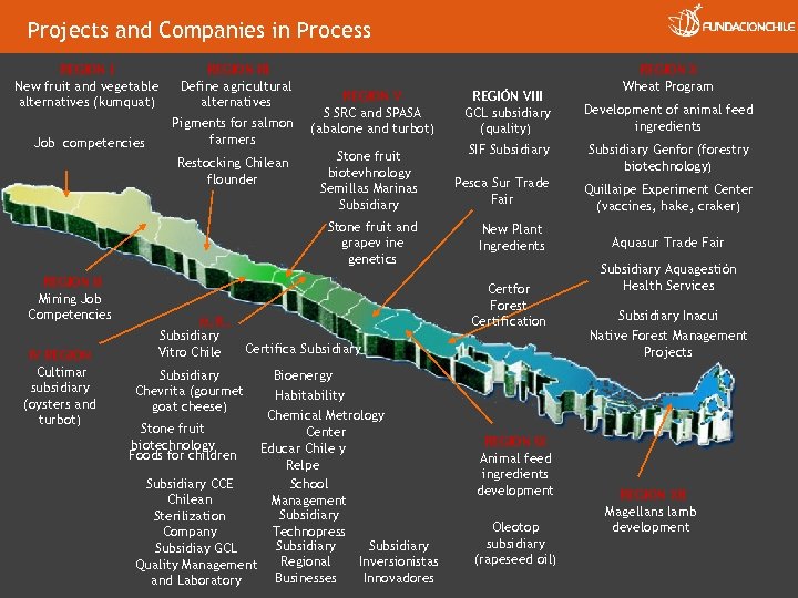 Projects and Companies in Process REGION I New fruit and vegetable alternatives (kumquat) REGION