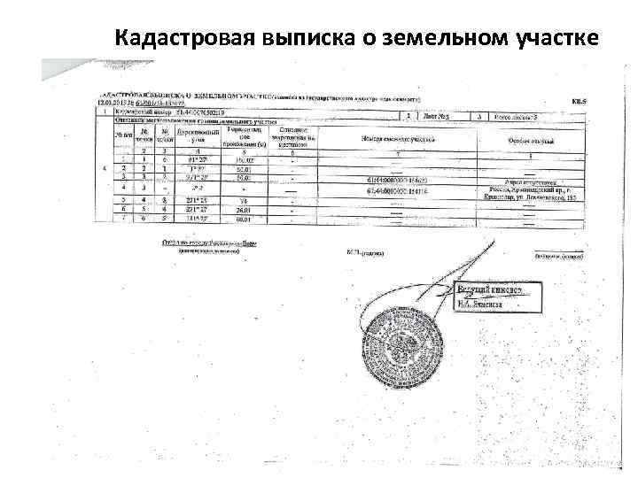 Выписка на земельный участок