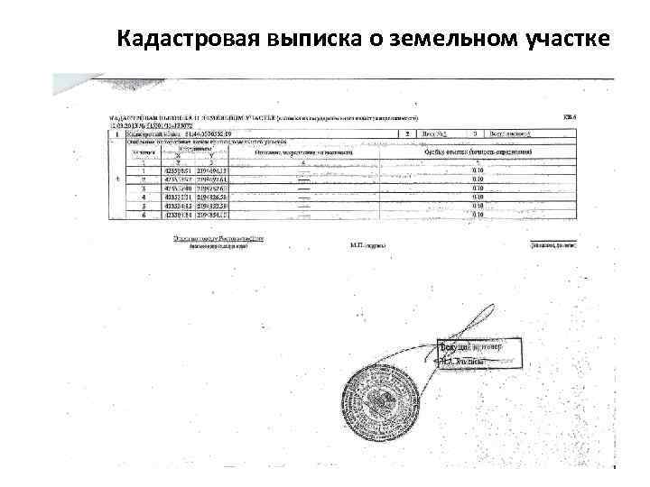 Кадастровая выписка на участок как получить. Кадастровая выписка о земельном участке.