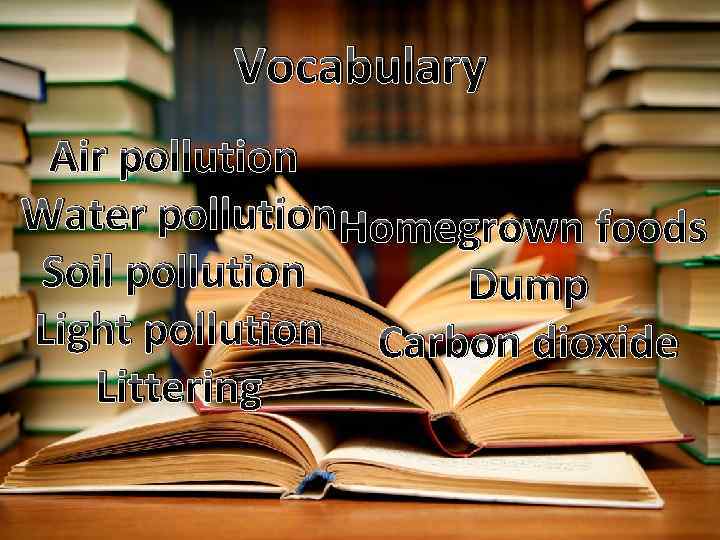 Vocabulary Air pollution Water pollution. Homegrown foods Soil pollution Dump Light pollution Carbon dioxide