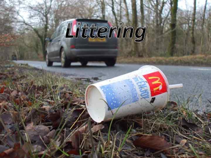 Littering 