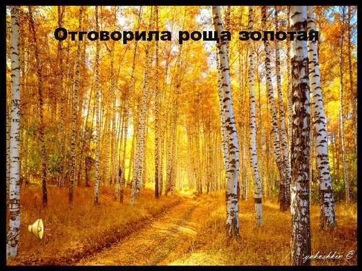 Отговорила роща золотая 