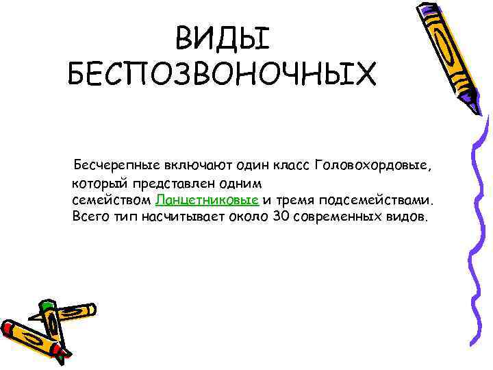 ВИДЫ БЕСПОЗВОНОЧНЫХ Бесчерепные включают один класс Головохордовые, который представлен одним семейством Ланцетниковые и тремя