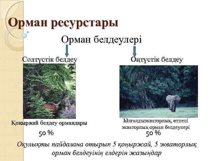 Орман ресурстары Орман белдеулері Солтүстік белдеу Оңтүстік белдеу Қоңыржай белдеу ормандары Ылғалдыэкваторлық, өтпелі экваторлық