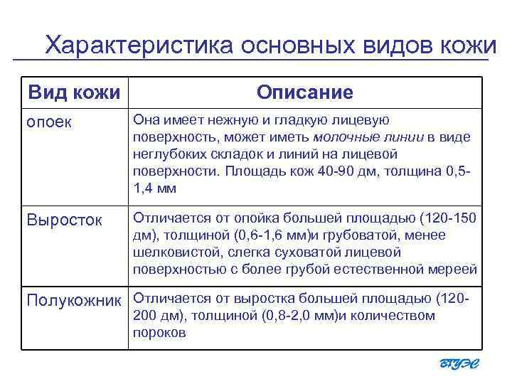 Характеристика основных видов кожи Вид кожи Описание опоек Она имеет нежную и гладкую лицевую