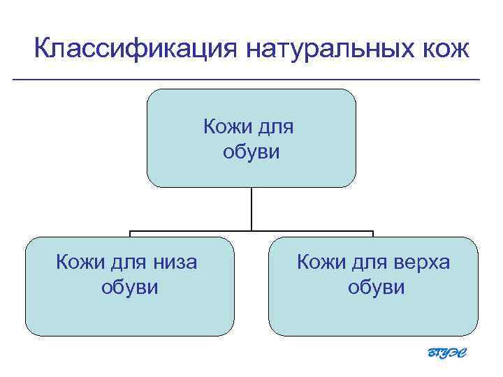 Классификация натуральных кож Кожи для обуви Кожи для низа обуви Кожи для верха обуви