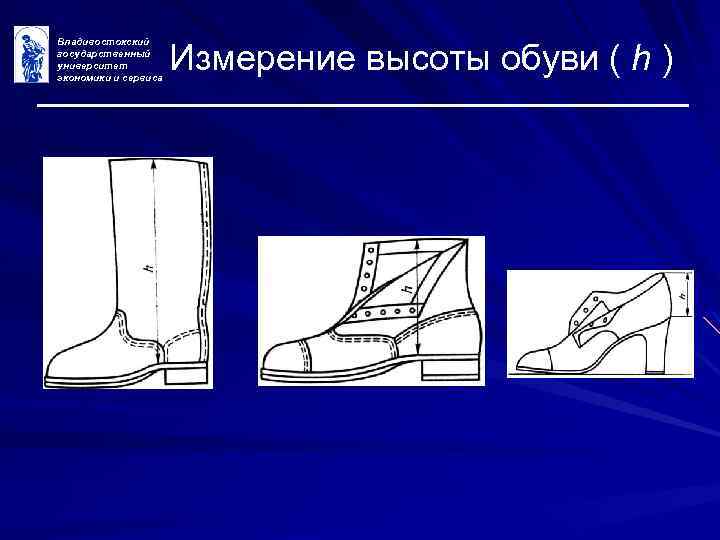Владивостокский государственный университет экономики и сервиса Измерение высоты обуви ( h ) 