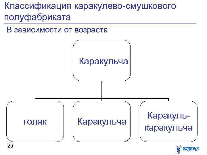 Классификация каракулево смушкового полуфабриката В зависимости от возраста Каракульча голяк 25 Каракульча Каракуль каракульча