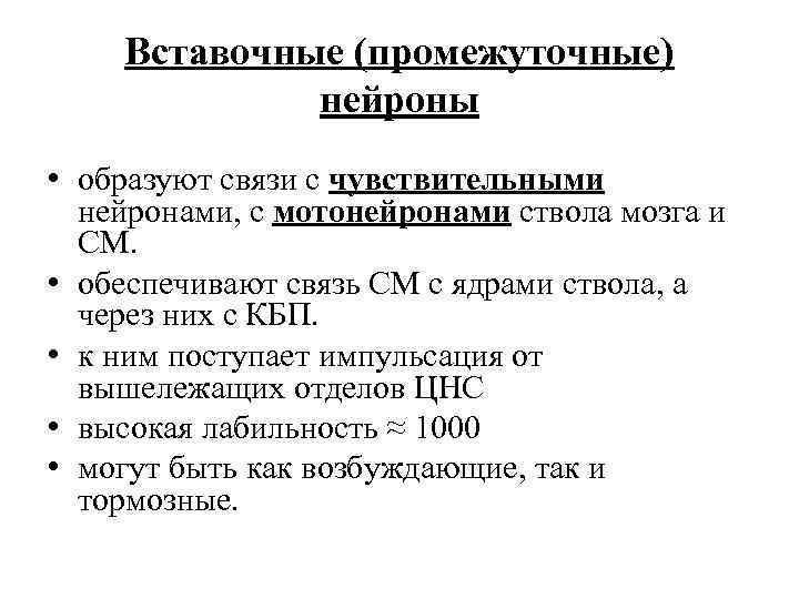 Вставочные (промежуточные) нейроны • образуют связи с чувствительными нейронами, с мотонейронами ствола мозга и