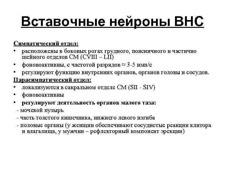 Вставочные нейроны ВНС Симпатический отдел: • расположены в боковых рогах грудного, поясничного и частично