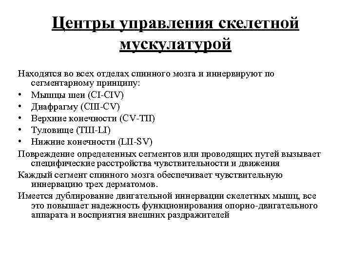 Центры управления скелетной мускулатурой Находятся во всех отделах спинного мозга и иннервируют по сегментарному
