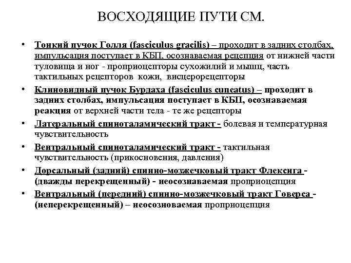 ВОСХОДЯЩИЕ ПУТИ СМ. • Тонкий пучок Голля (fasciculus gracilis) – проходит в задних столбах,