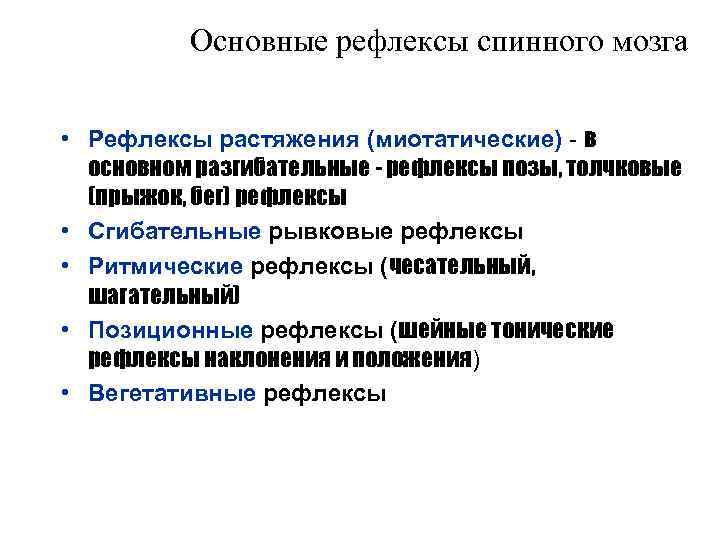 Основные рефлексы спинного мозга • Рефлексы растяжения (миотатические) - в основном разгибательные - рефлексы