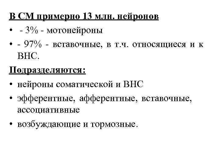В СМ примерно 13 млн. нейронов • - 3% - мотонейроны • - 97%