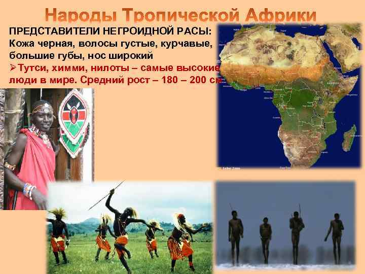 ПРЕДСТАВИТЕЛИ НЕГРОИДНОЙ РАСЫ: Кожа черная, волосы густые, курчавые, большие губы, нос широкий ØТутси, химми,