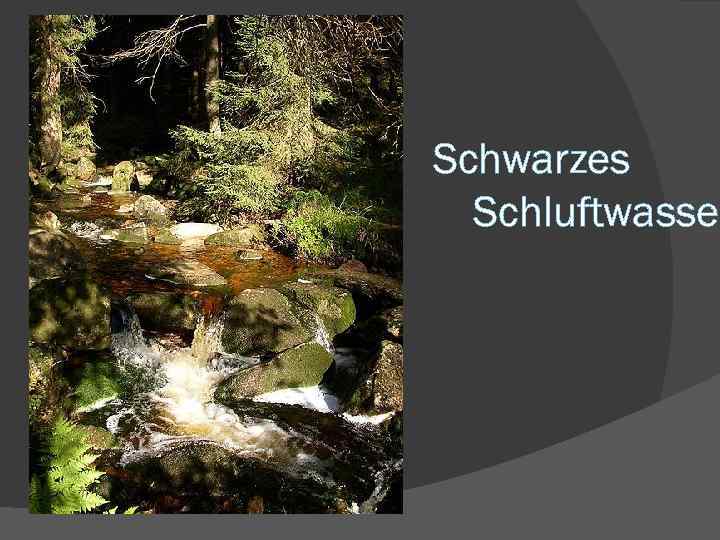 Schwarzes Schluftwasser 