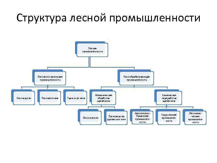 Схема лесной промышленности