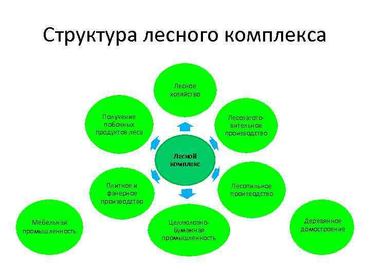 Структура лесного комплекса Лесное хозяйство Получение побочных продуктов леса Лесозаготовительное производство Лесной комплекс Плитное