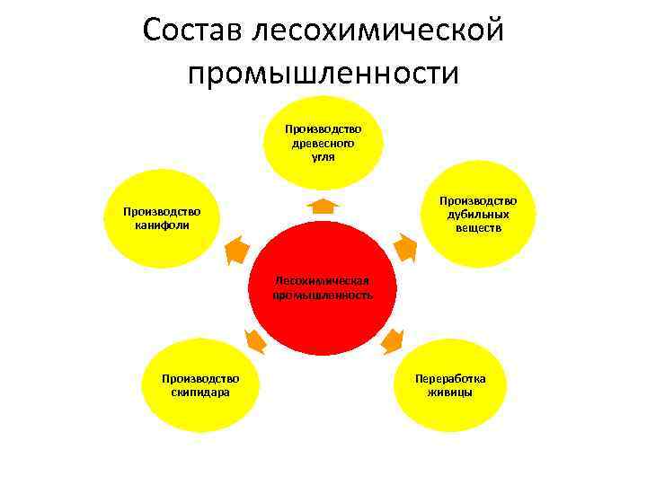 Состав лесохимической промышленности Производство древесного угля Производство дубильных веществ Производство канифоли Лесохимическая промышленность Производство