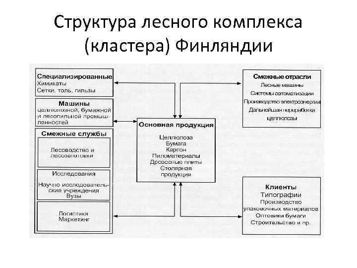 Схема лесного комплекса