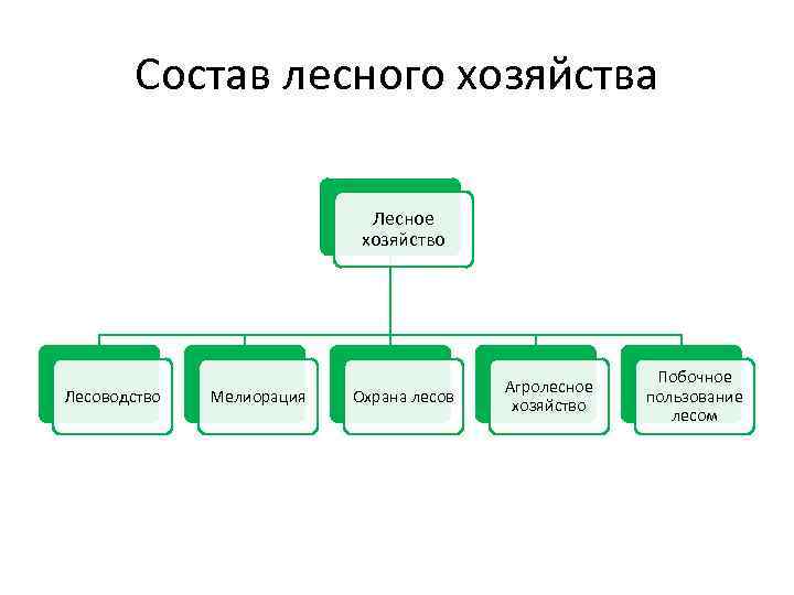 Состав лесного хозяйства Лесное хозяйство Лесоводство Мелиорация Охрана лесов Агролесное хозяйство Побочное пользование лесом