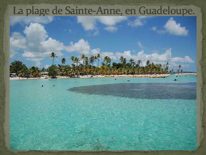 La plage de Sainte-Anne, en Guadeloupe. 