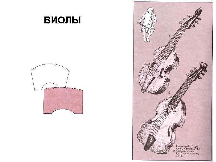 ВИОЛЫ 