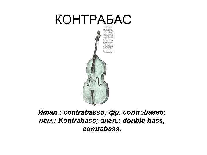 КОНТРАБАС Итал. : contrabasso; фр. contrebasse; нем. : Kontrabass; англ. : double-bass, contrabass. 