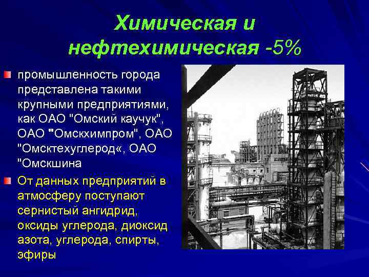 Основные положения развития химического и нефтехимического комплекса