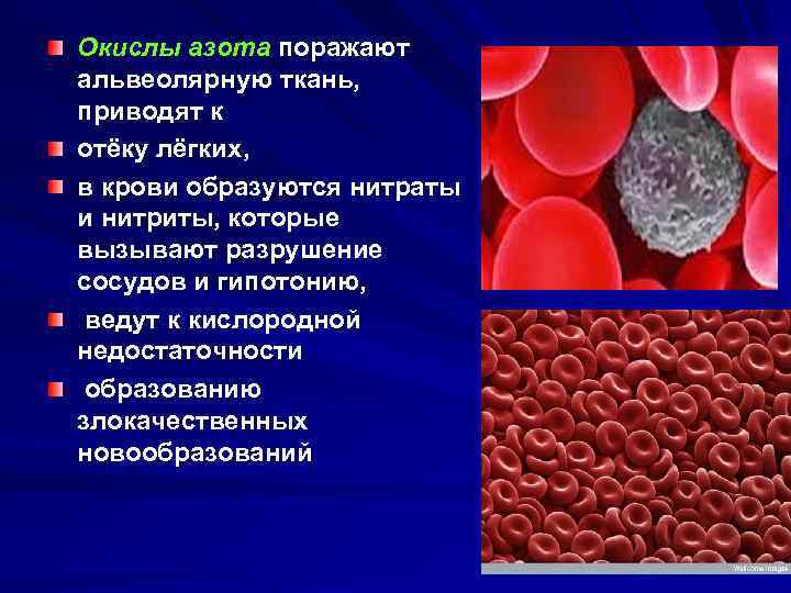 Окислы азота поражают альвеолярную ткань, приводят к отёку лёгких, в крови образуются нитраты и