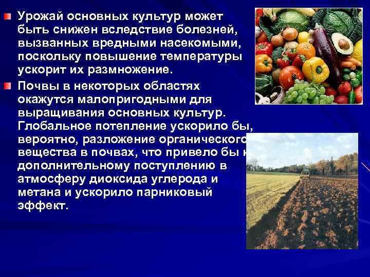 Урожай основных культур может быть снижен вследствие болезней, вызванных вредными насекомыми, поскольку повышение температуры