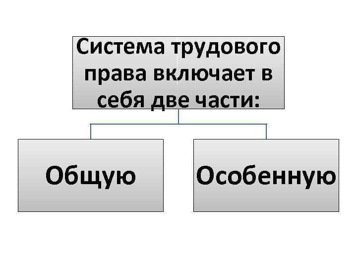 Система трудового права включает в себя две части: Общую Особенную 